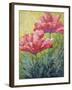 Two Red Poppies-Marion Rose-Framed Giclee Print