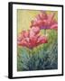 Two Red Poppies-Marion Rose-Framed Giclee Print