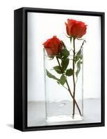 Two Red Roses in a Glass Vase-Michael Paul-Framed Stretched Canvas