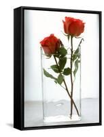 Two Red Roses in a Glass Vase-Michael Paul-Framed Stretched Canvas