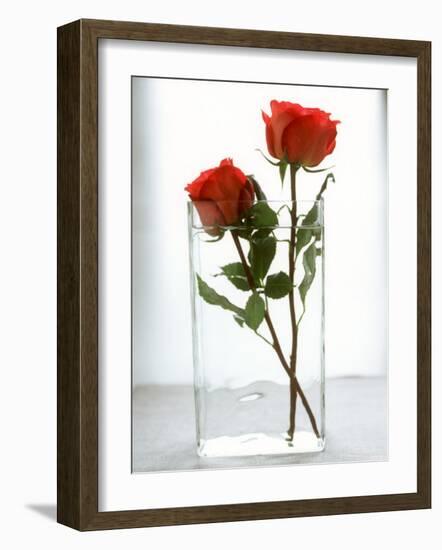 Two Red Roses in a Glass Vase-Michael Paul-Framed Photographic Print