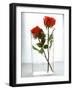 Two Red Roses in a Glass Vase-Michael Paul-Framed Photographic Print