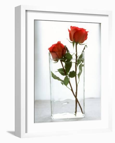 Two Red Roses in a Glass Vase-Michael Paul-Framed Photographic Print