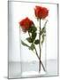 Two Red Roses in a Glass Vase-Michael Paul-Mounted Photographic Print