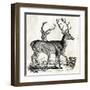 Two Reindeers-PI Studio-Framed Art Print