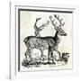 Two Reindeers-PI Studio-Framed Art Print
