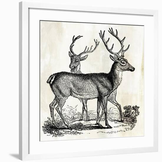Two Reindeers-PI Studio-Framed Art Print
