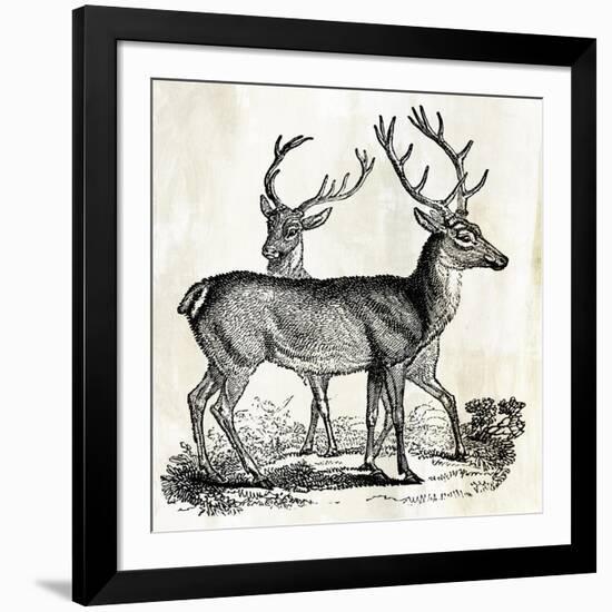 Two Reindeers-PI Studio-Framed Art Print