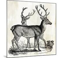 Two Reindeers-PI Studio-Mounted Art Print