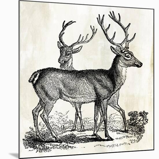 Two Reindeers-PI Studio-Mounted Art Print