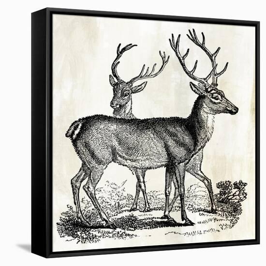 Two Reindeers-PI Studio-Framed Stretched Canvas