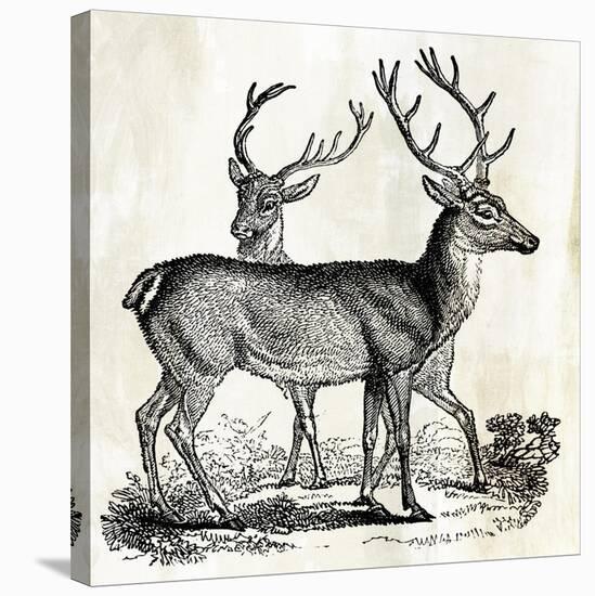 Two Reindeers-PI Studio-Stretched Canvas