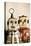 Two Retro Robot Toys-davinci-Stretched Canvas