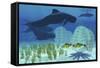 Two Rockfish Watch Cautiously as a Pod of Pilot Whales Swim Past a Coral Reef-null-Framed Stretched Canvas