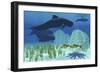 Two Rockfish Watch Cautiously as a Pod of Pilot Whales Swim Past a Coral Reef-null-Framed Premium Giclee Print