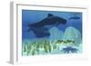 Two Rockfish Watch Cautiously as a Pod of Pilot Whales Swim Past a Coral Reef-null-Framed Premium Giclee Print