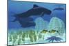 Two Rockfish Watch Cautiously as a Pod of Pilot Whales Swim Past a Coral Reef-null-Mounted Premium Giclee Print