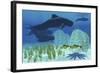 Two Rockfish Watch Cautiously as a Pod of Pilot Whales Swim Past a Coral Reef-null-Framed Art Print