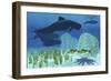 Two Rockfish Watch Cautiously as a Pod of Pilot Whales Swim Past a Coral Reef-null-Framed Art Print