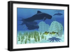 Two Rockfish Watch Cautiously as a Pod of Pilot Whales Swim Past a Coral Reef-null-Framed Art Print