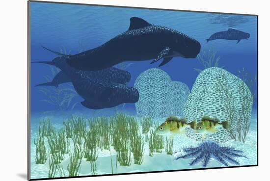 Two Rockfish Watch Cautiously as a Pod of Pilot Whales Swim Past a Coral Reef-null-Mounted Art Print