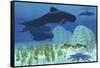 Two Rockfish Watch Cautiously as a Pod of Pilot Whales Swim Past a Coral Reef-null-Framed Stretched Canvas