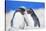 Two Rockhopper penguins (Eudyptes chrysocome chrysocome) showing affection-Marco Simoni-Stretched Canvas