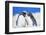 Two Rockhopper penguins (Eudyptes chrysocome chrysocome) showing affection-Marco Simoni-Framed Photographic Print