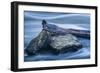 Two Rocks And Long Swirling Water-Anthony Paladino-Framed Giclee Print