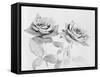 Two Roses-Philip Gendreau-Framed Stretched Canvas