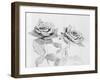 Two Roses-Philip Gendreau-Framed Photographic Print