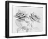 Two Roses-Philip Gendreau-Framed Photographic Print