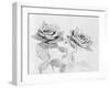 Two Roses-Philip Gendreau-Framed Photographic Print