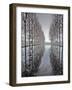 Two Rows of Poplar (Populus Sp-Pascal Tordeux-Framed Photographic Print