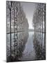 Two Rows of Poplar (Populus Sp-Pascal Tordeux-Mounted Photographic Print
