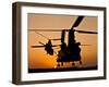 Two Royal Air Force CH-47 Chinooks Take Off from Headquarters in Afghanistan-Stocktrek Images-Framed Photographic Print