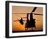 Two Royal Air Force CH-47 Chinooks Take Off from Headquarters in Afghanistan-Stocktrek Images-Framed Photographic Print