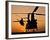 Two Royal Air Force CH-47 Chinooks Take Off from Headquarters in Afghanistan-Stocktrek Images-Framed Photographic Print