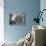 Two Rural Cabins, Madison, North Carolina-Carol Highsmith-Photo displayed on a wall