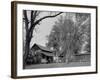 Two Rural Cabins, Madison, North Carolina-Carol Highsmith-Framed Photo