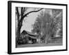 Two Rural Cabins, Madison, North Carolina-Carol Highsmith-Framed Photo