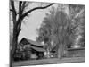 Two Rural Cabins, Madison, North Carolina-Carol Highsmith-Mounted Photo