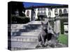 Two Russian Blue Cats Sunning on Garden Stone Steps, Italy-Adriano Bacchella-Stretched Canvas