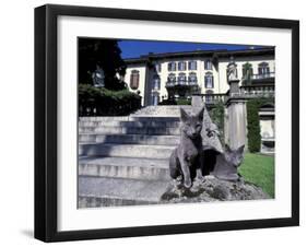 Two Russian Blue Cats Sunning on Garden Stone Steps, Italy-Adriano Bacchella-Framed Photographic Print