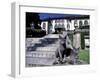 Two Russian Blue Cats Sunning on Garden Stone Steps, Italy-Adriano Bacchella-Framed Photographic Print