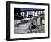 Two Russian Blue Cats Sunning on Garden Stone Steps, Italy-Adriano Bacchella-Framed Photographic Print