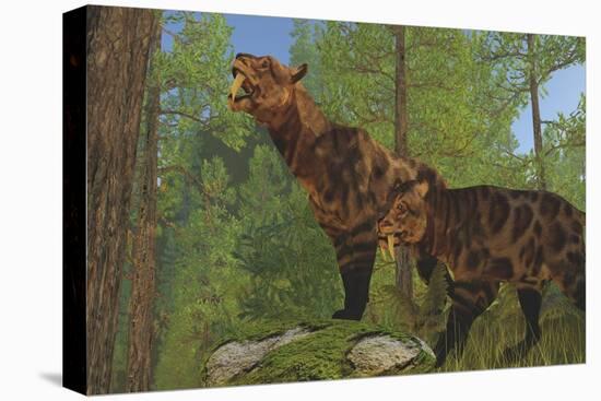 Two Saber-Toothed Cats Search for Prey in a Pine Forest-null-Stretched Canvas