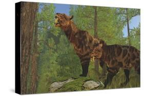 Two Saber-Toothed Cats Search for Prey in a Pine Forest-null-Stretched Canvas