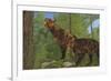 Two Saber-Toothed Cats Search for Prey in a Pine Forest-null-Framed Art Print