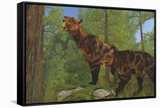 Two Saber-Toothed Cats Search for Prey in a Pine Forest-null-Framed Stretched Canvas